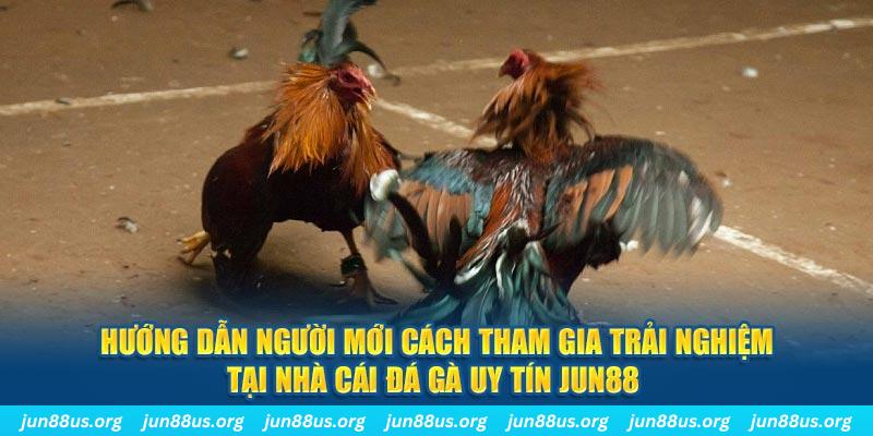 hot 51 CQ9 Điện Tử