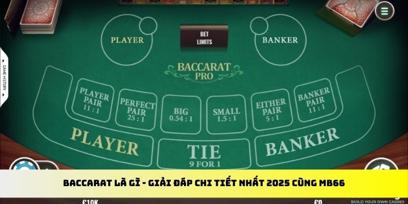 hot 51 gà chọi cu cần