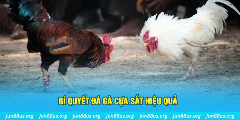 hot 51 xin 1 slot là gì