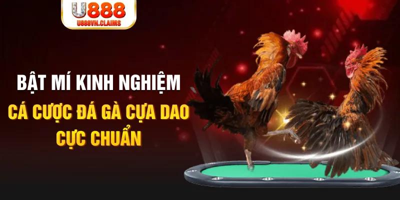 hot 51 tỷ lệ cá cược châu á là gì