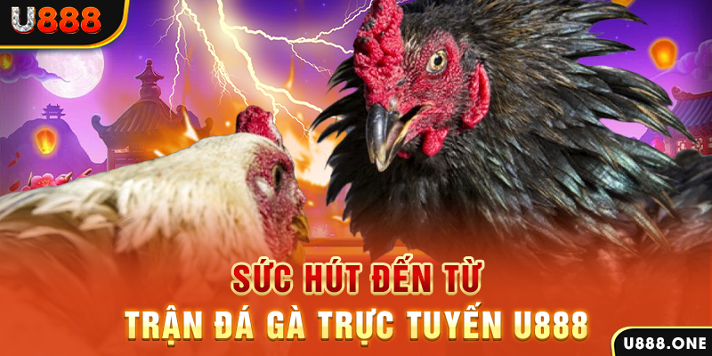 hot 51 nổ hũ b29 là gì