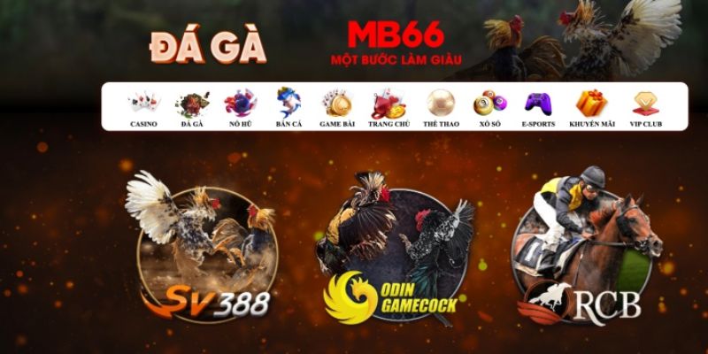hot 51 đăng nhập poker số 1