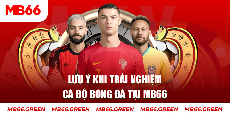 hot 51 cá cược là gì
