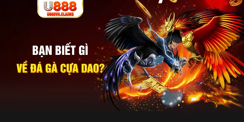 hot 51 nổ hủ là gì