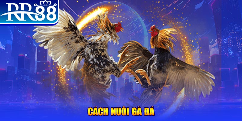 hot 51 xổ số an giang
