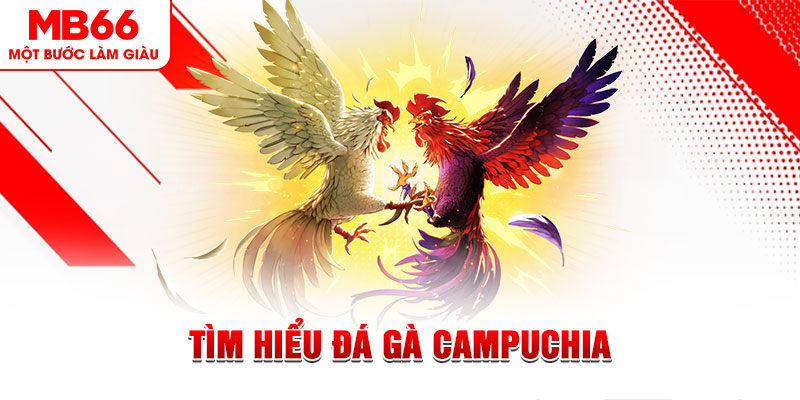 hot 51 game đánh bài trên máy tính