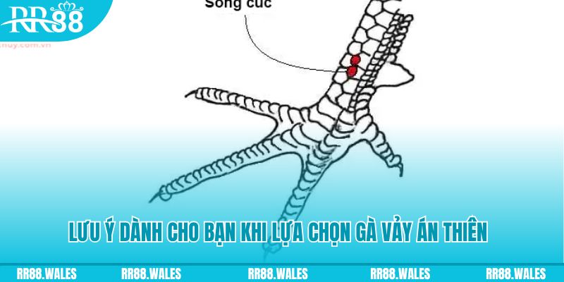 hot 51 xổ số đồng nai