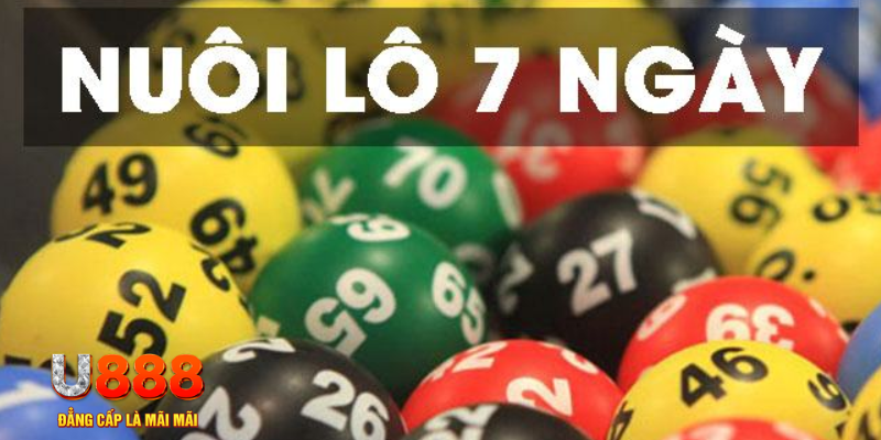 hot 51 slot là j
