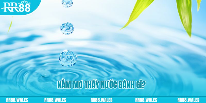 hot 51 TP Bắn cá