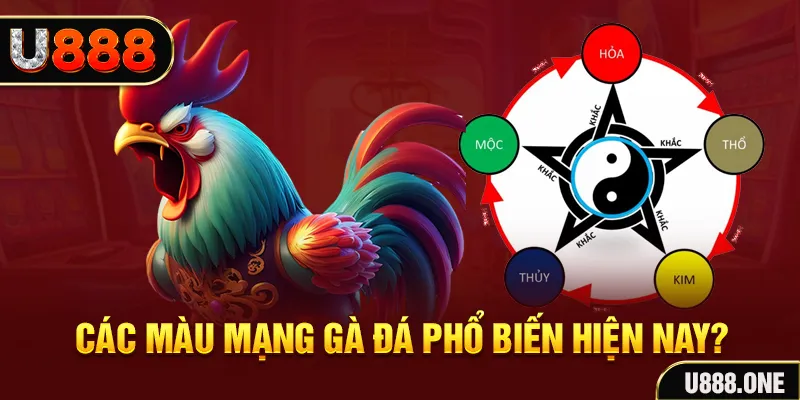 hot 51 trực tiếp đá gà 88