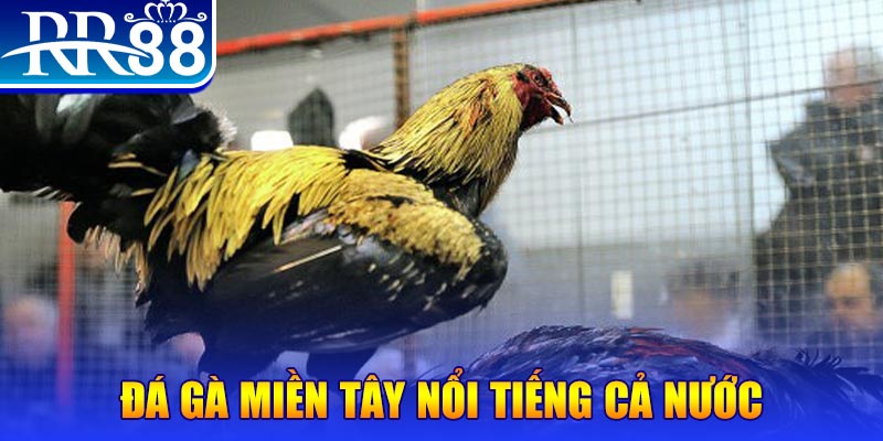 hot 51 JILI Game Bài 3d