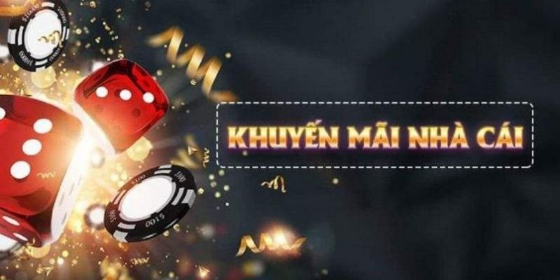 hot 51 what is live dealer casino