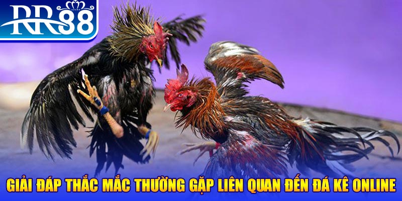 hot 51 slot machine là gì