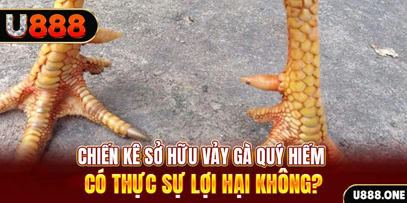 hot 51 nohu .mx nổ hủ là gì