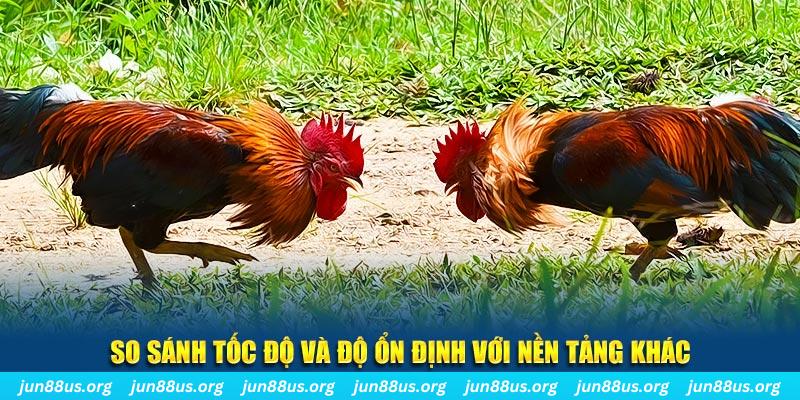 hot 51 đá gà hôm nay
