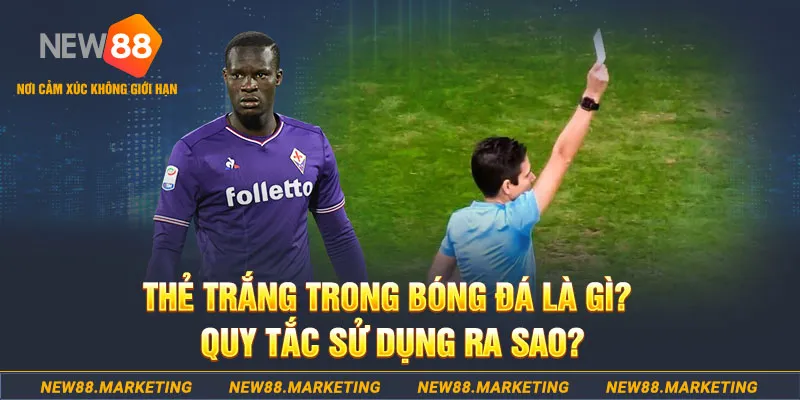 hot 51 gà chọi mộc hóa
