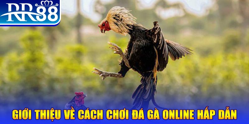 hot 51 game nổ hũ rút tiền mặt là gì