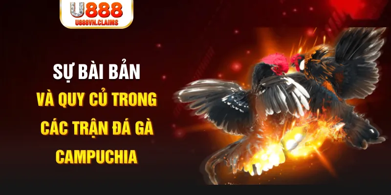 hot 51 YGR Điện Tử