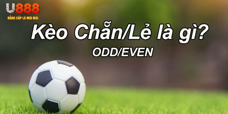 hot 51 đăng nhập poker hôm nay