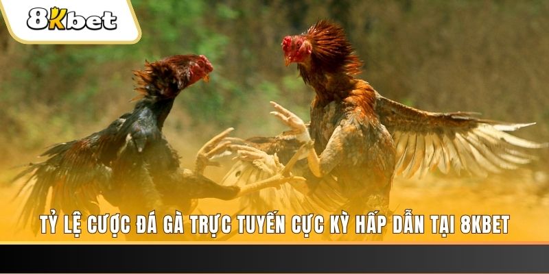 hot 51 xổ số trực tiếp miền bắc