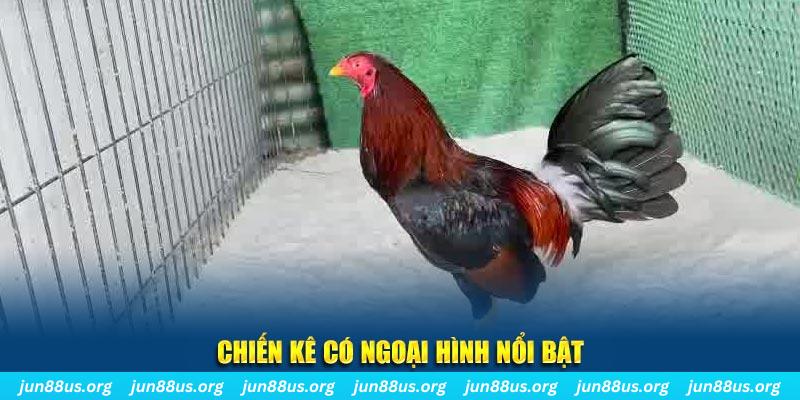 hot 51 chạy quảng cáo cho game bài bị phạt như thế nào