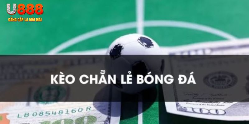 hot 51 8 bit khi nào nổ hũ