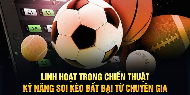 hot 51 trực tiếp đá gà c1