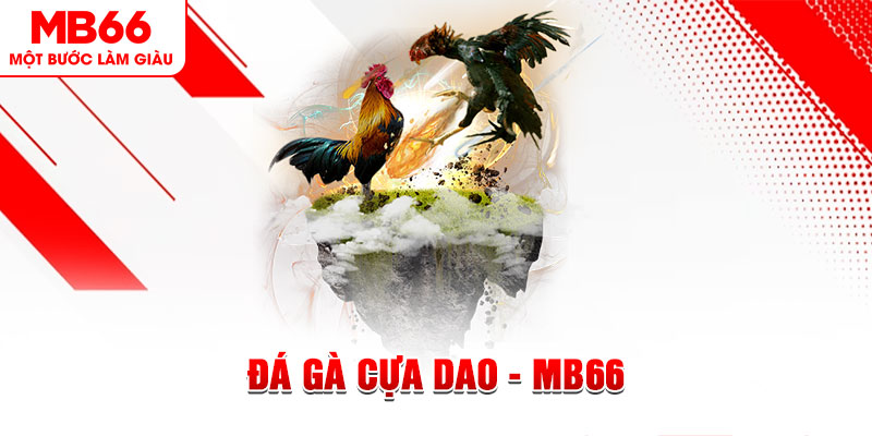 hot 51 đá gà sv388 gold