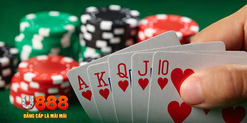 hot 51 đá gà trực tiếp thomo 67